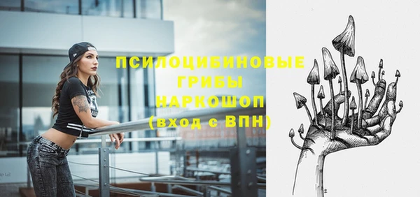 СК Армянск